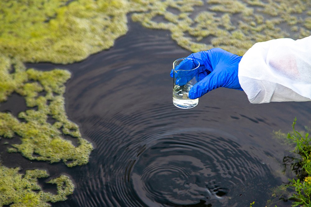 Limpieza de agua contaminada con cromo